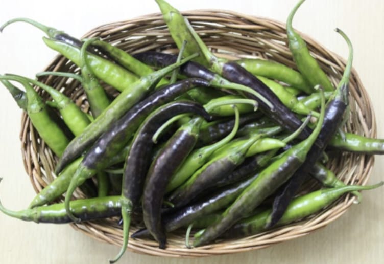 Himalaya Chetshree Chilli