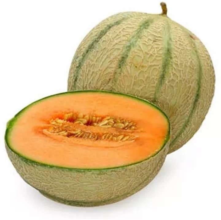Muskmelon - Himalaya Jayesh