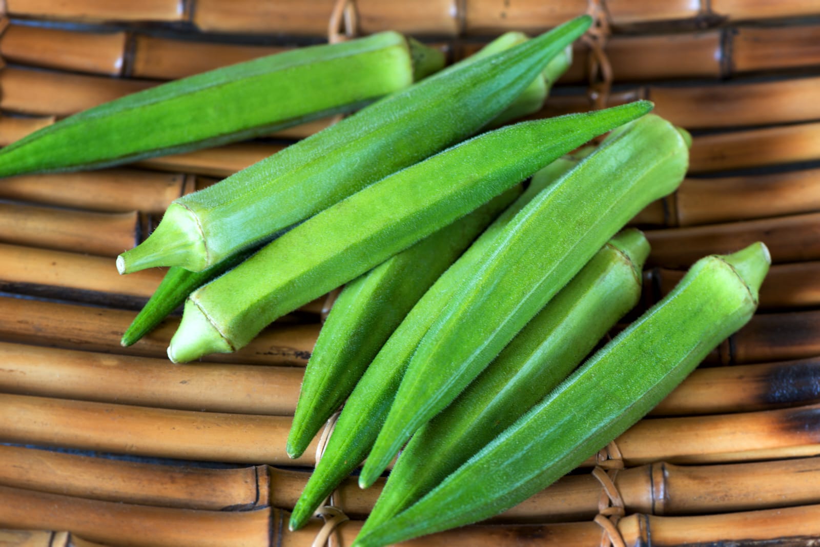 Himalaya Renuka Okra