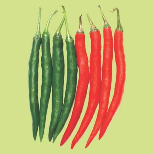 Himalaya Saisha Chilli